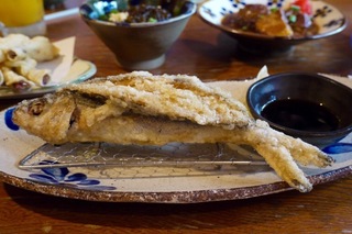 P1580079.jpg
